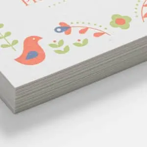 Vistaprint Premium Business Cards