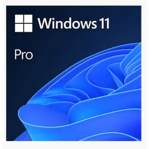 Microsoft Windows 11 Pro Lifetime License