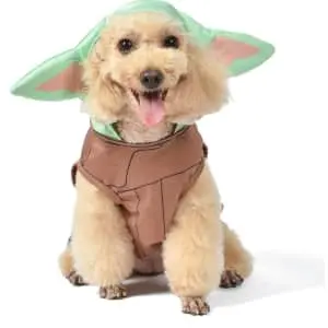 Star Wars Pet Toys at Chewy