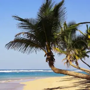 4-Night All-Inclusive Margaritaville Dominican Republic Flight & Hotel Vacation