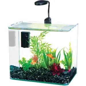 Fish Tanks & Aquariums at Chewy