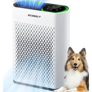 Ecoself Air Purifier