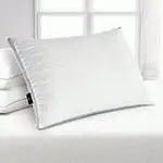 SertaPedic 20" x 26" Dreamloft Bed Pillow (Standard Size)