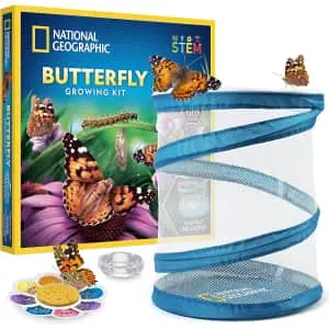 Science Kit Deals at Amazon