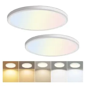 LED Flush Mount 12" Ceiling Light 2-Pack