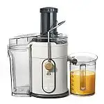 Beautiful 5-Speed 1000W Electric Juice Extractor