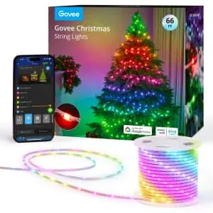 Govee 66-Foot Smart RGBIC Christmas Lights