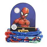 Collectible Box Throw Set (PlayStation, Spider-Man, Bluey, & More)