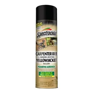 Spectracide Carpenter Bee and Yellowjacket Killer Foaming Aerosol 12-Pack