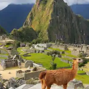 7-Night Peru Hotel & Tour Vacation