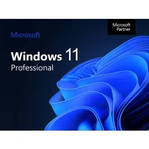 Microsoft Windows 11 Home or Pro