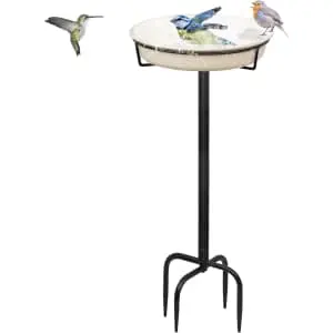 35.5" Bird Bath