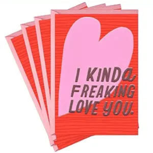 Hallmark Valentines Day Card 4-Pack