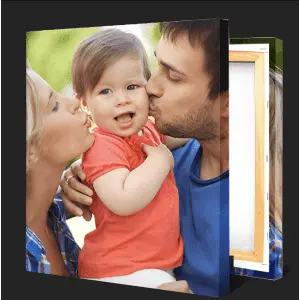 16" x 20" Canvas Print from Canvas Champ