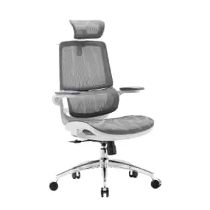 Sihoo M59AS Ergonomic Office Chair with 3D Armrests