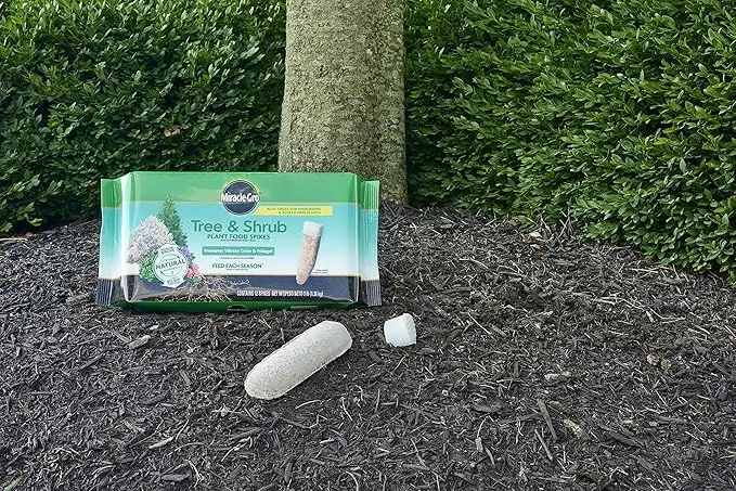 园林养护，春季施肥很重要！Miracle-Gro 树木和灌木化肥棒