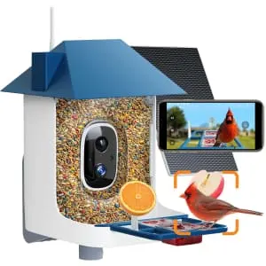 2K Bird Feeder with Camera