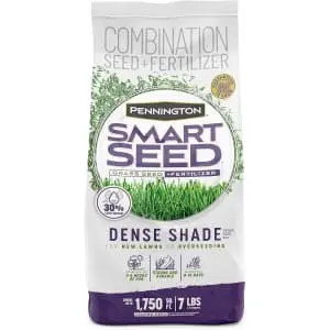 Pennington Smart Seed Dense Shade Grass Mix 7-lbs Bag