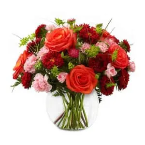 Just Flowers Mother's Day Roses