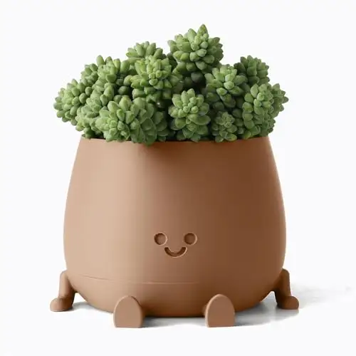TOPOLA 微笑多肉植物花盆