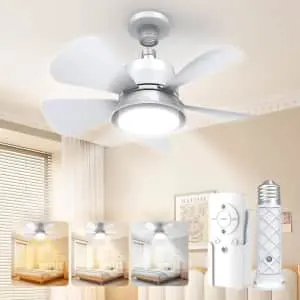 Remote Control Ceiling Fan Light