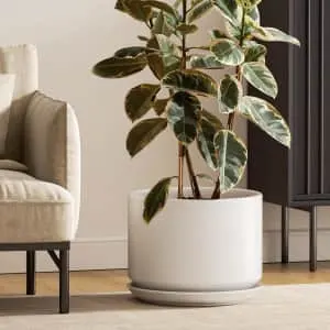 Planters and Pots Deals at Amazon