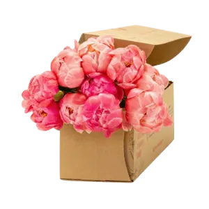 BloomsyBox Mother's Day Sale