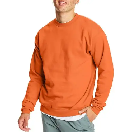 HANES 恒适 Pullover EcoSmart 男款休闲卫衣
