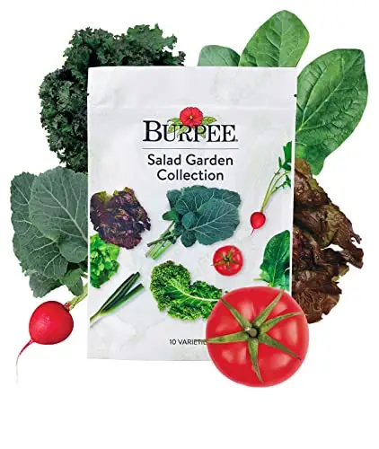 Burpee 沙拉花园系列4 种生菜种子