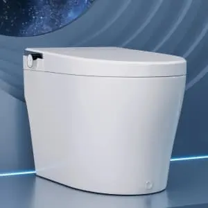 DeerValley Smart Toilet