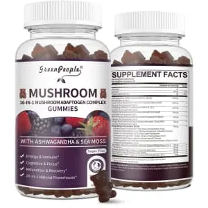 GreenPeople 60-Count 16-in-1 Mushroom Adaptogen Complex Gummies w/ Ashwaganda & Sea Moss 2-Pack