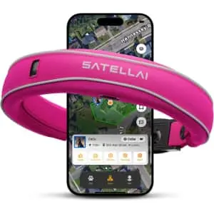 Satellai Smart Collar and GPS Dog Fence