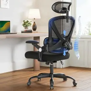 Huanuo High Back Ergonomic Office Chair