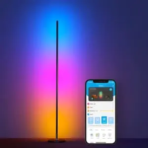 Govee LED Floor Lamp