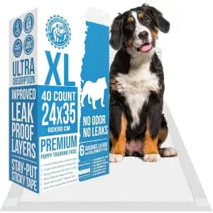 Amazon Outlet Pet Supplies