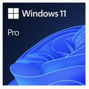 Microsoft Windows 11 Home, Pro, or Enterprise