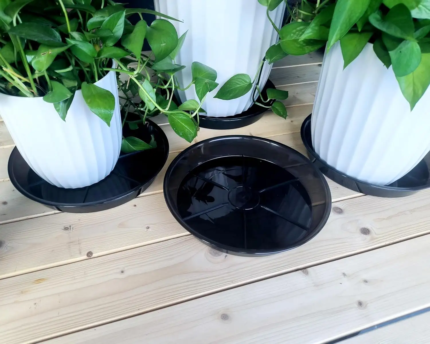 6英寸加厚植物托盘 6个