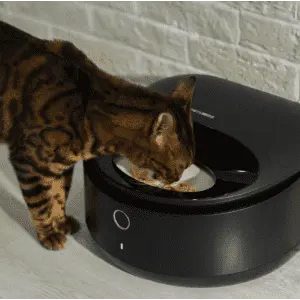 Petlibro Polar Smart Wet Food Pet Feeder