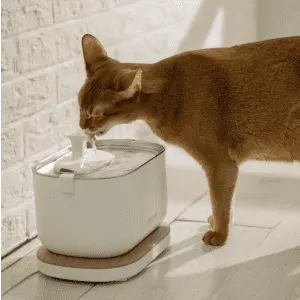 Petlibro Dockstream Smart Fountain