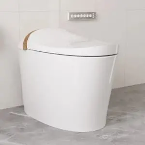 DeerValley Automatic Tankless Smart Toilet
