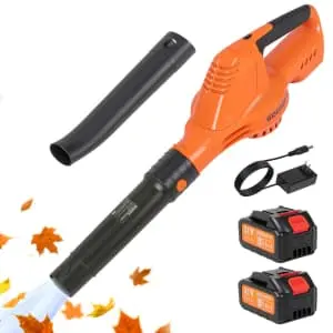 Gochifix 21V Cordless Leaf Blower with 2 Batteries