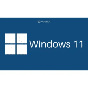Microsoft Windows 11 Professional Lifetime Product Key for PC