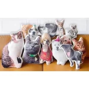 Custom 3D Pet Photo Pillow at Groupon
