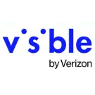 Visible 1-Year Plans