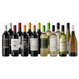 Splash Wines Welcome Fall 15-Bottle Pack