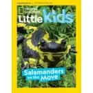 DiscountMags Kids Magazine Sale