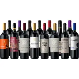 Splash Wines Fall Faves Cab & Malbec 15-Pack