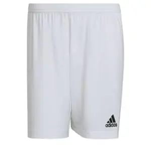 adidas Men's Entrada 22 Shorts (M, XL only)
