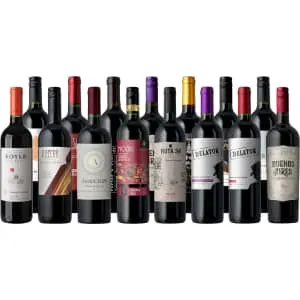 Splash Wines Holiday Cab & Malbec 15-Pack