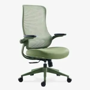 Sunaofe Resistance Ergonomic Office Chair